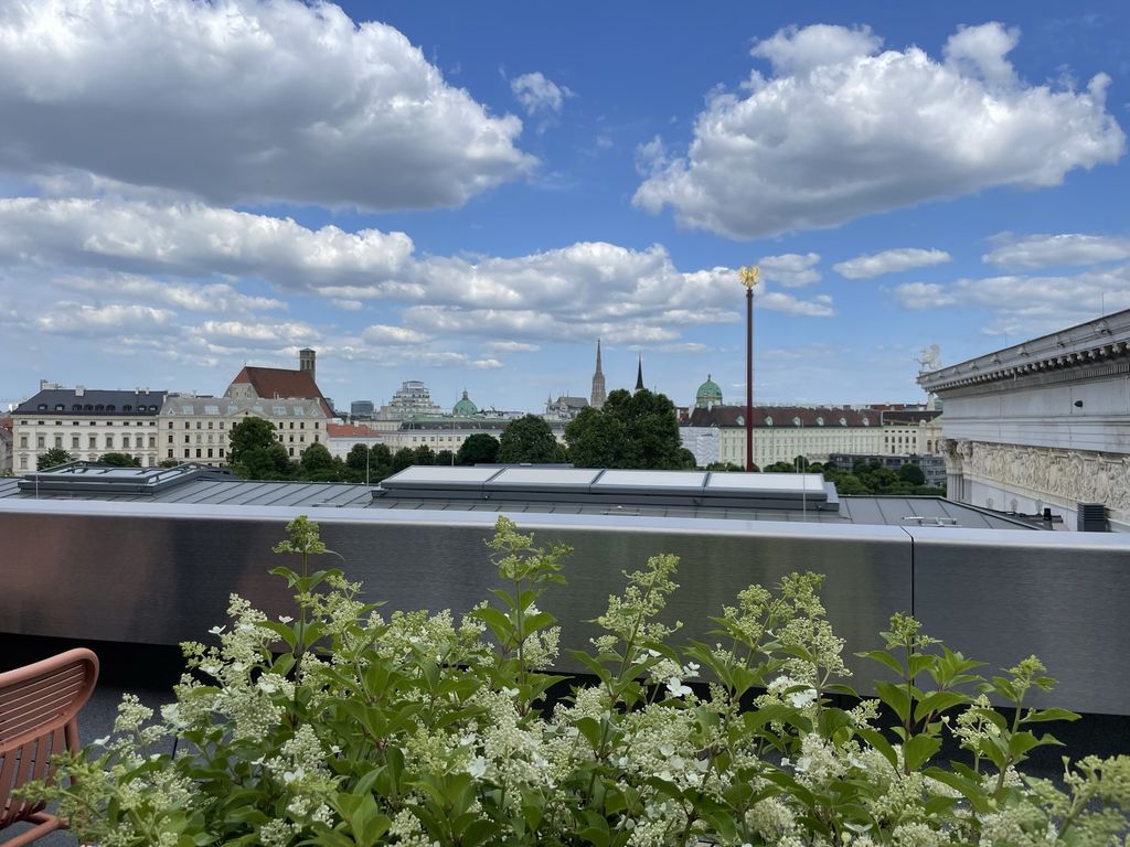 KELSEN im Parlament